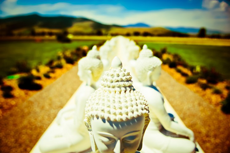 7626347682_bdd837a0b2_b